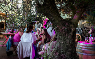 Overzichtsfoto van het evenement Wijn op het Plein in Purmerend